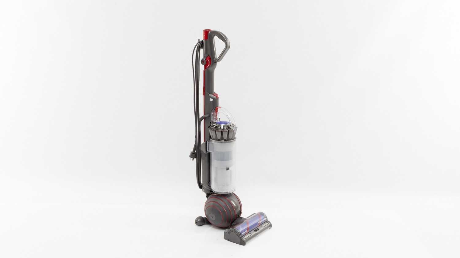 Dyson Ball Animal Origin